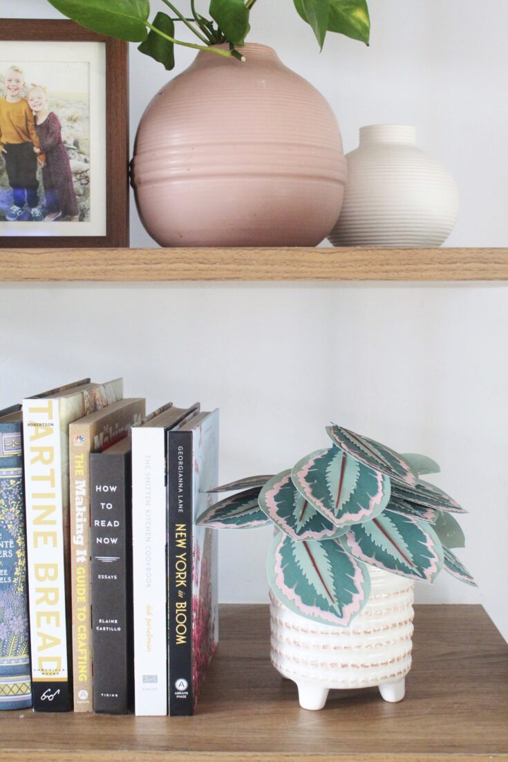 DIY Paper Plant: Calathea Medallion